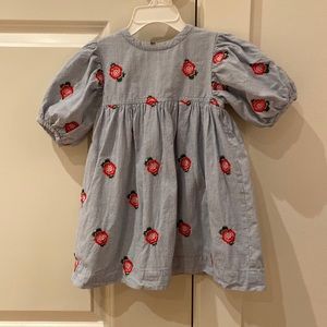 Puffy sleeve dress by pink chicken